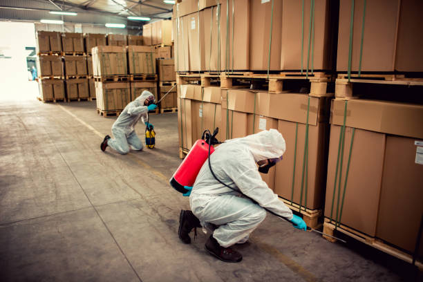 Best Emergency Pest Control  in Sikeston, MO