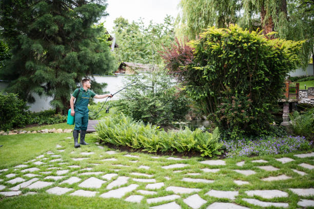 Best Commercial Pest Control Services  in Sikeston, MO