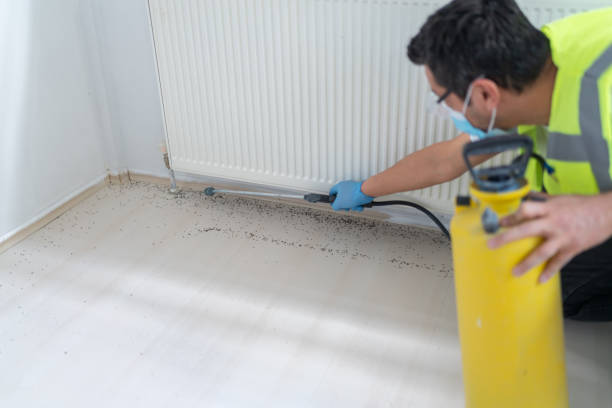 Best Pest Control Cost  in Sikeston, MO