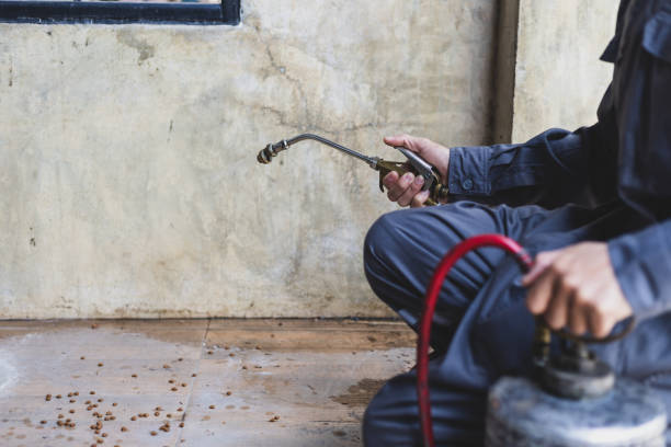 Best Flea Control Services  in Sikeston, MO